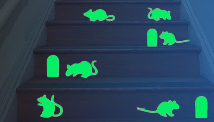 флуоресцентные мыши на лестнице